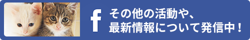 f その他の活動や、最新情報について発信中！